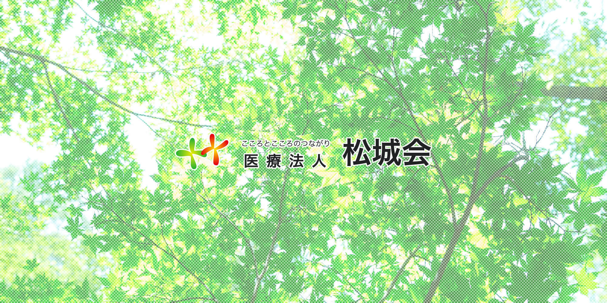 サイ 鹿児島 コロナ 爆